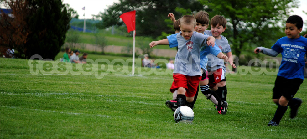 Festa Football